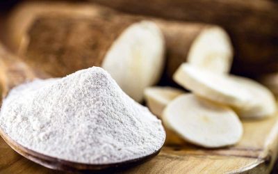 LE MANIOC EN SUBSTITUTION AU BLÉ